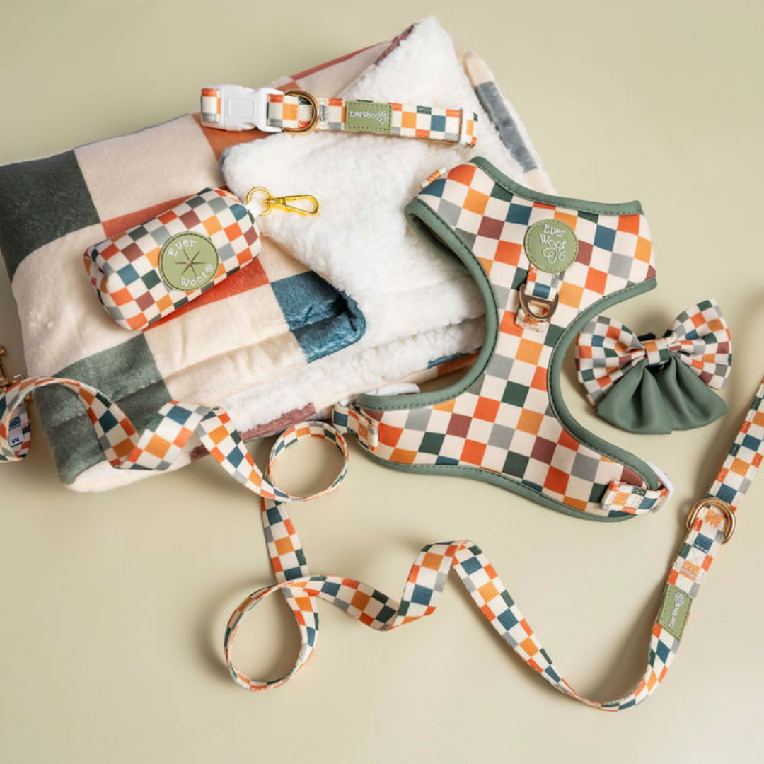Pet Harness Harness Sage Cider Adjustable Harness Essential - close up product image for pet harness