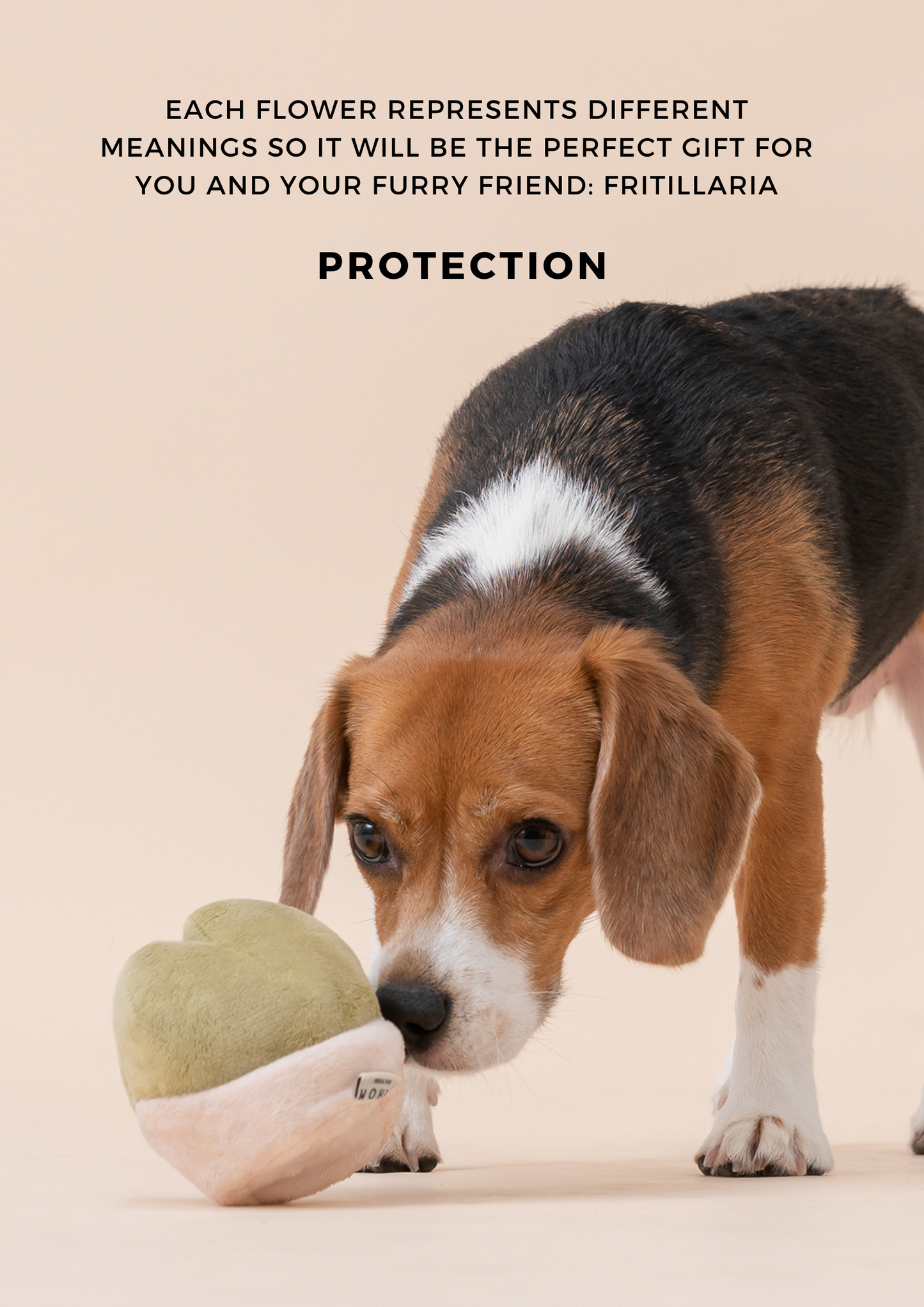 Paradise Pet Toy Fritillaria Interactive Dog Toy Durable - gallery image 6