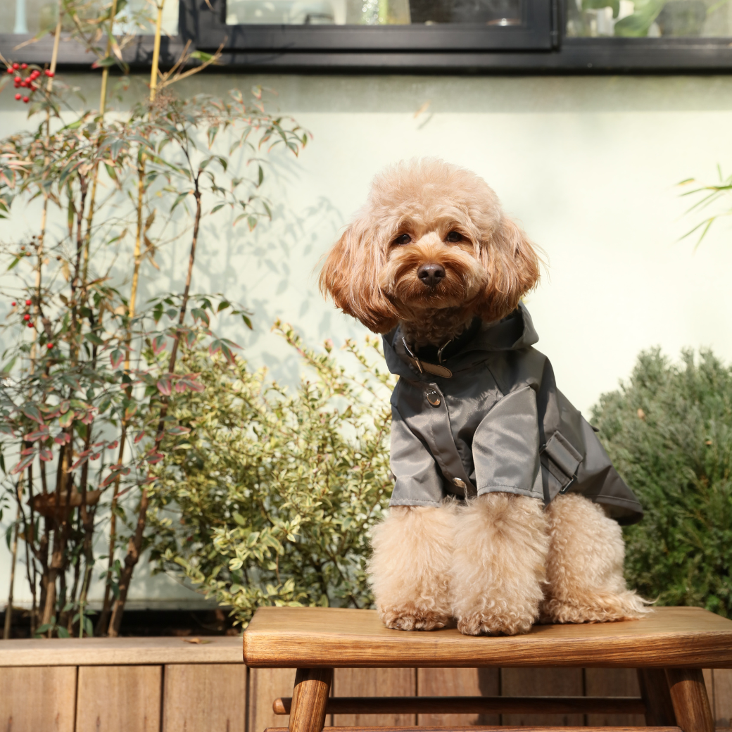 Dog Apparel Active Outdoor Wear Adjustable GRAY Comfort - gallery image 7