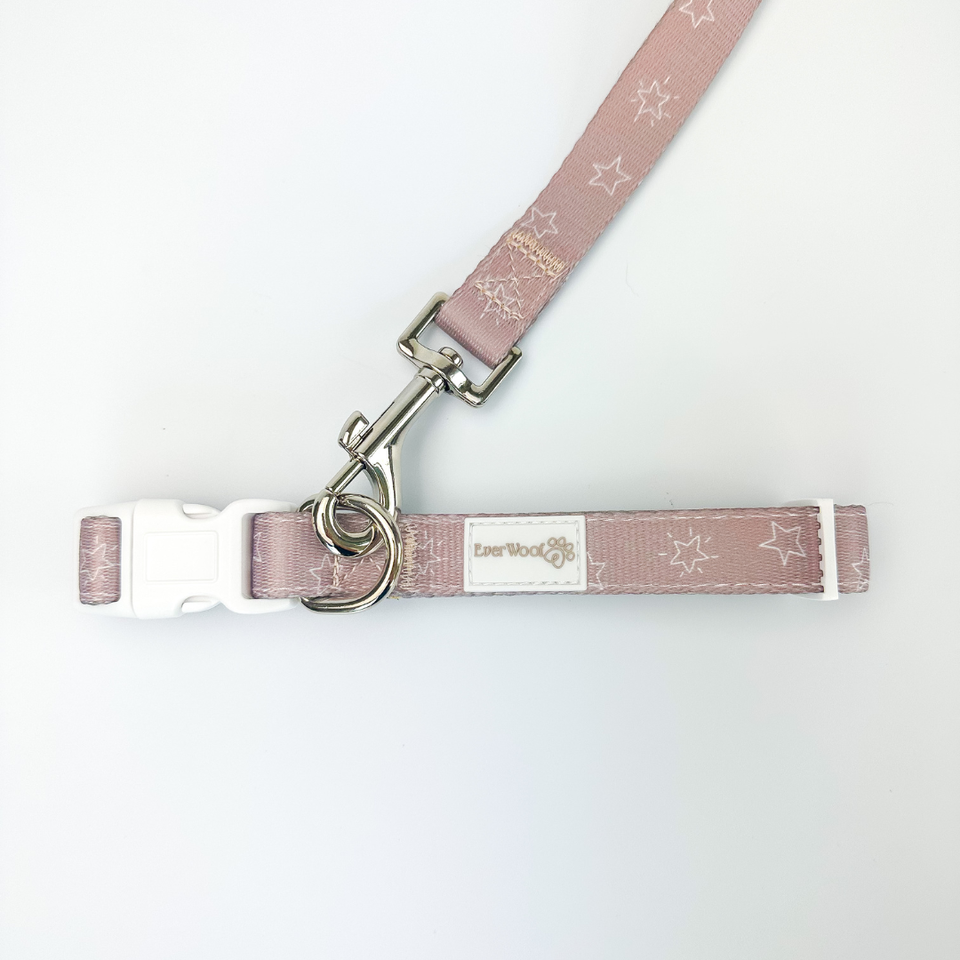 Pet Collar Collar Asteria Collar for for Daily Use Essential - close up product image for pet collar