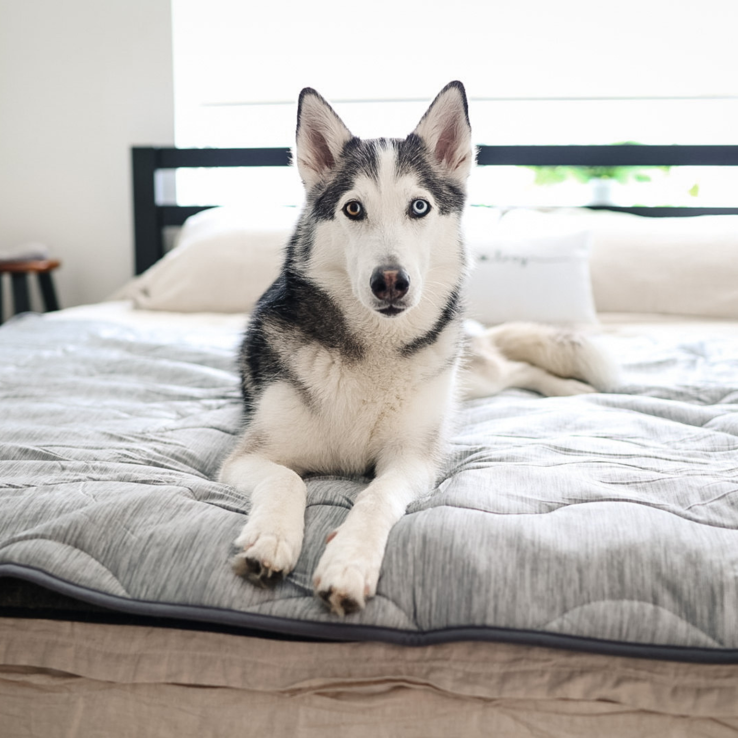 Pupchill Cooling Waterproof Blanket Arctic Grey Washable - gallery image 9