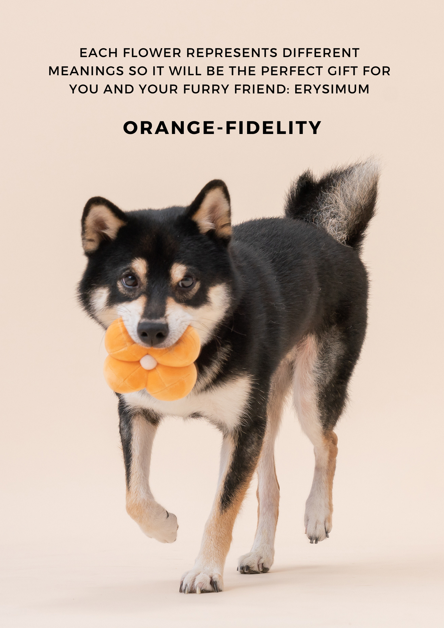Paradise Pet Toy Erysimum Interactive Dog Toy Durable Play - gallery image 7