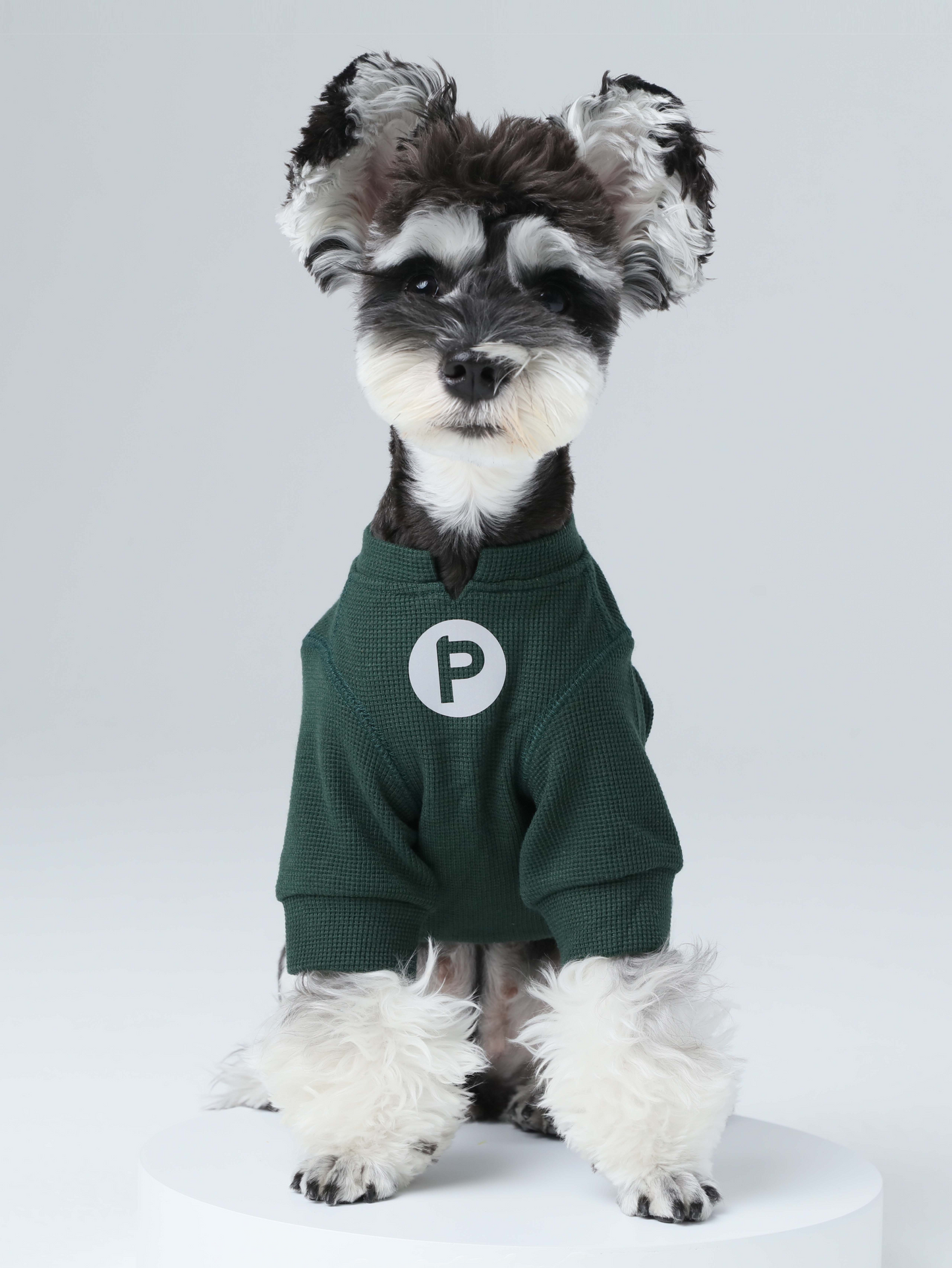 Embroidery Waffle T Shirt Green Dog Apparel Premium Pet - main product image