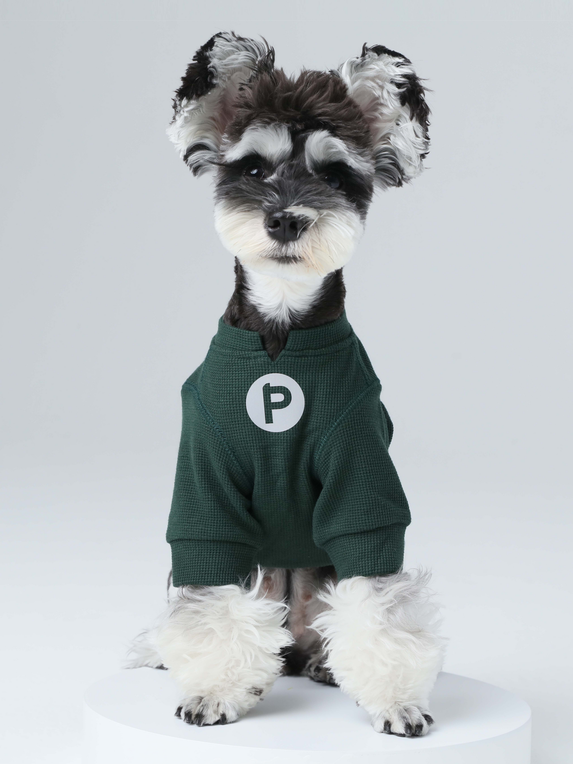 Embroidery Waffle T Shirt Green Dog Apparel Premium Pet - main product image