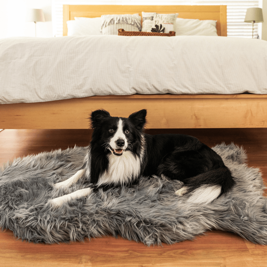 Memory Foam Dog Bed Faux Fur Charcoal Grey Orthopedic Comfor - gallery image 11