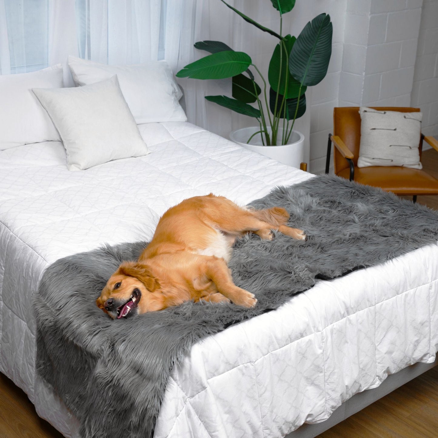Pupprotector Waterproof Bed Runner Charcoal Grey Washable - gallery image 5