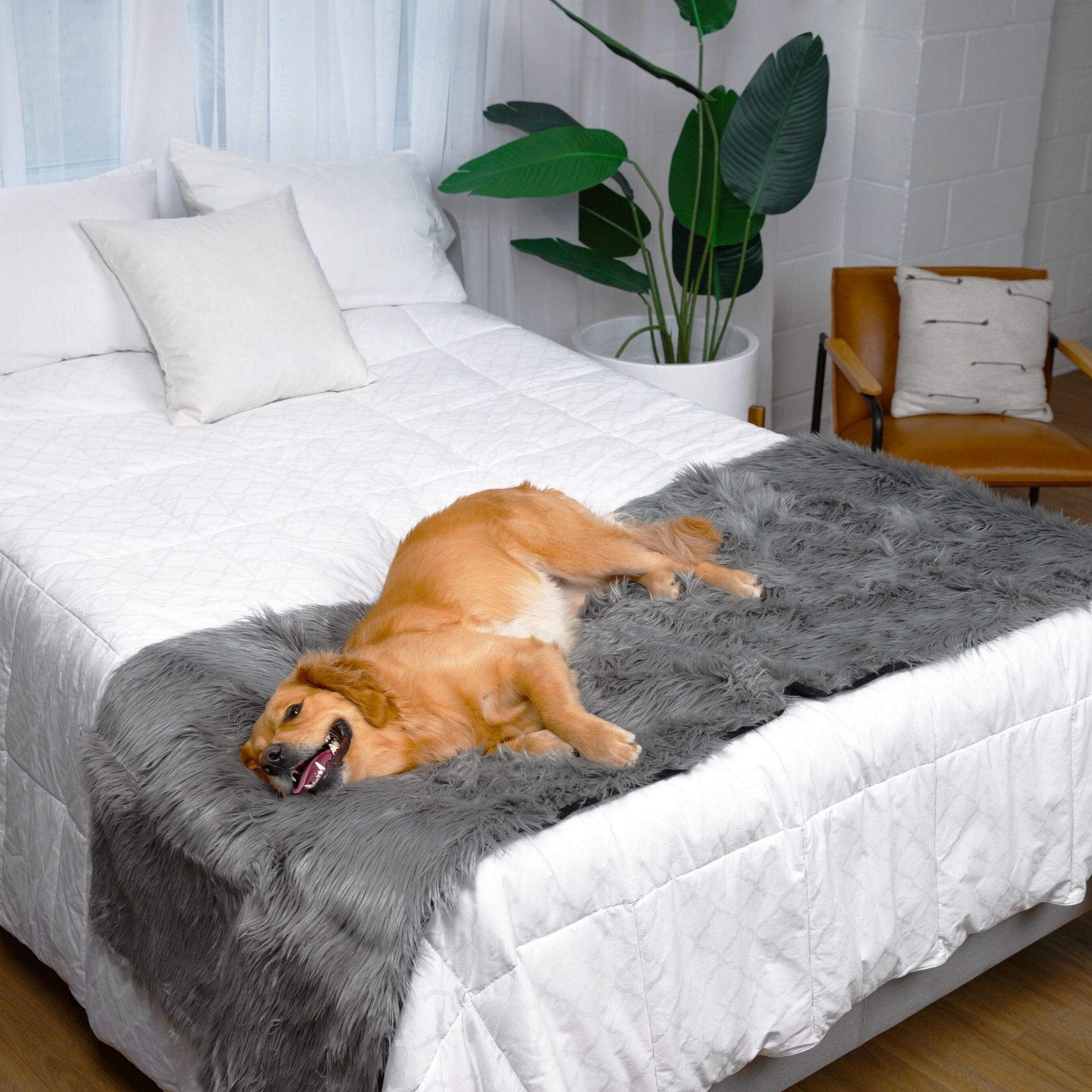 Pupprotector Waterproof Bed Runner Charcoal Grey Washable - gallery image 5