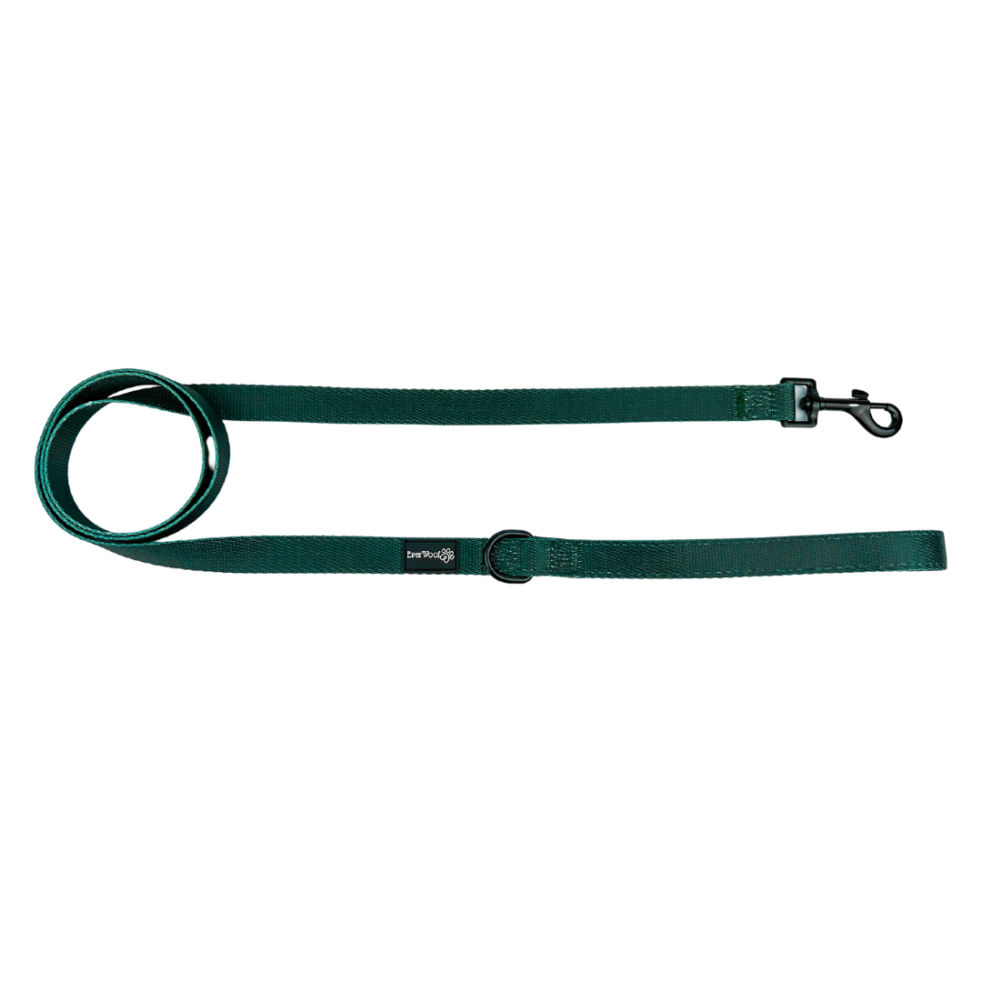 Pet Leash Leash Evergreen Dream Leashes for for Daily Use - detail product image for pet leash