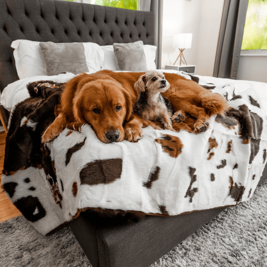 PupProtectorT Waterproof Throw Blanket - Brown Faux Cowhide - detail view