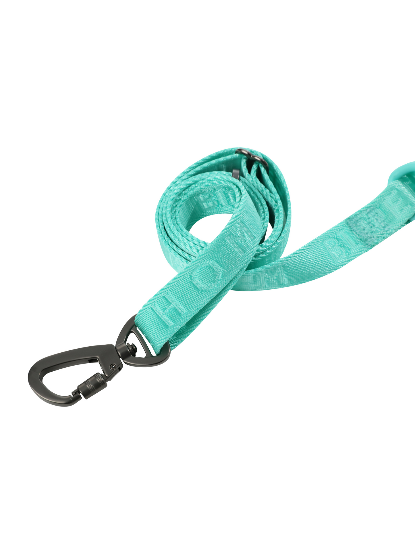 Dog Leash Padded Active Walking Lead Adjustable MINT GREEN - main product image