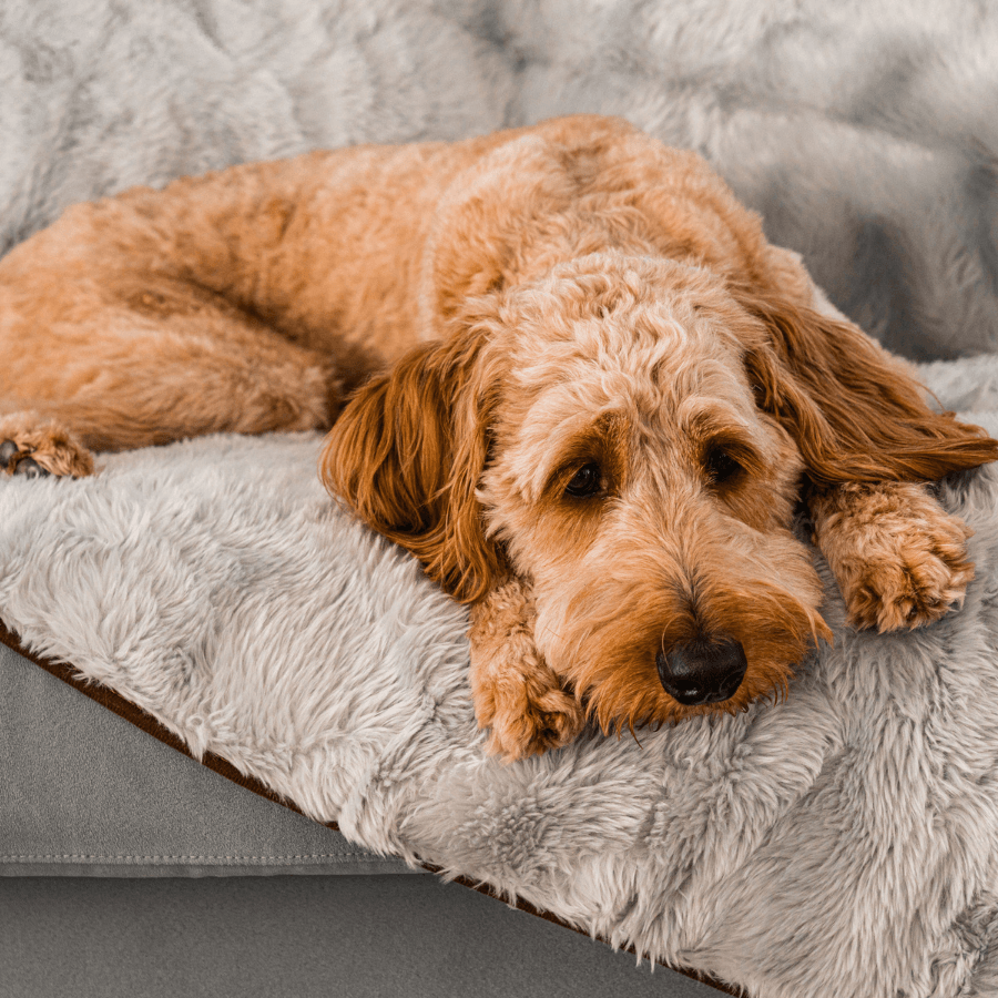 Waterproof Pet Blanket Soft Throw Grey Washable Cover Premiu - gallery image 10