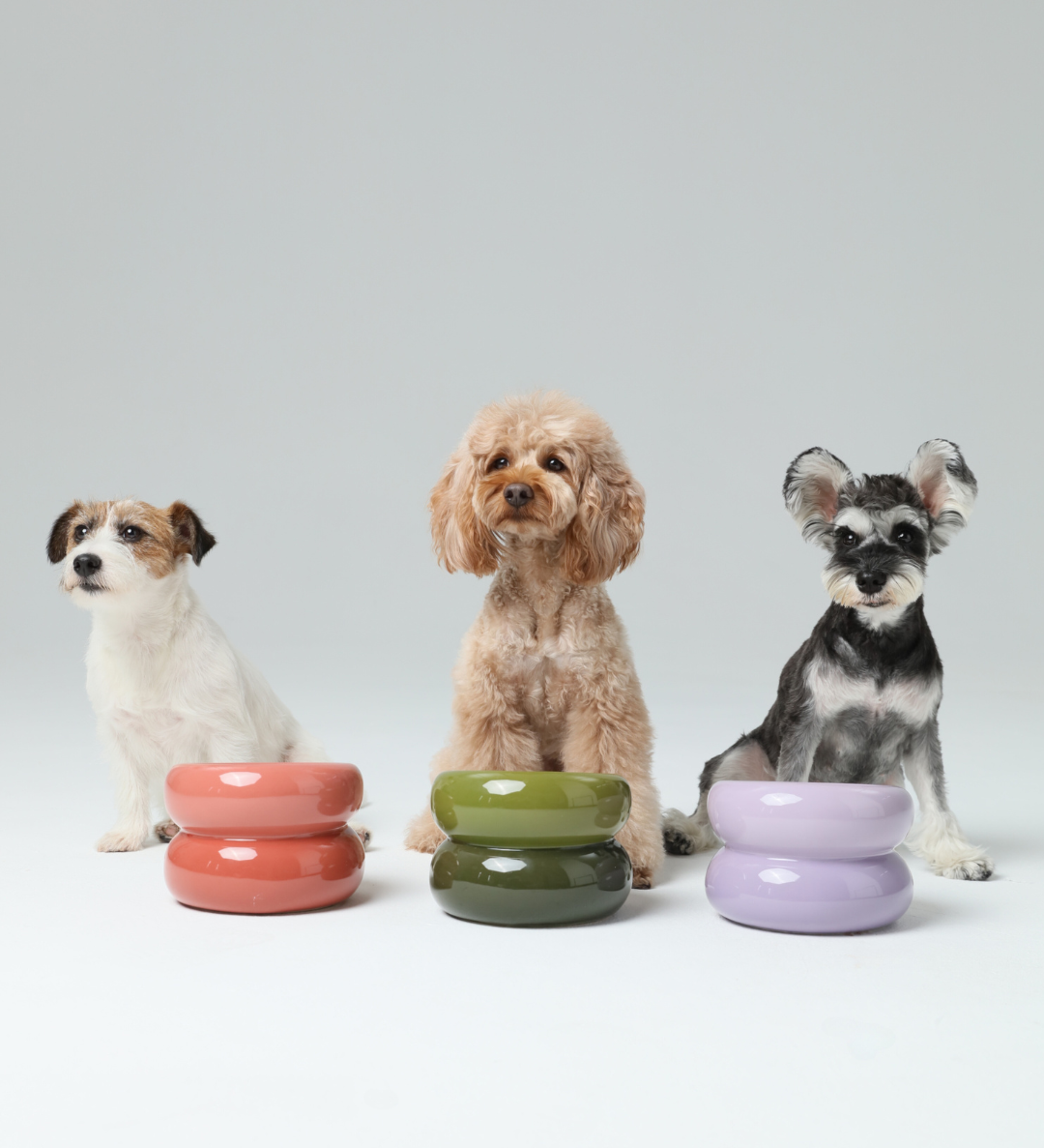 Pet Feeders & Bowls Adjustable Purple Premium Pet Supply - gallery image 18