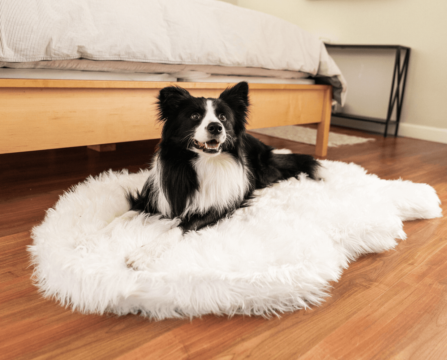 Memory Foam Dog Bed Faux Fur Polar White Orthopedic Comfort - gallery image 10