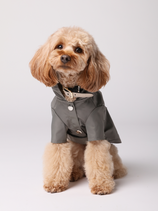 Dog Apparel Active Outdoor Wear Adjustable GRAY Comfort - main product image