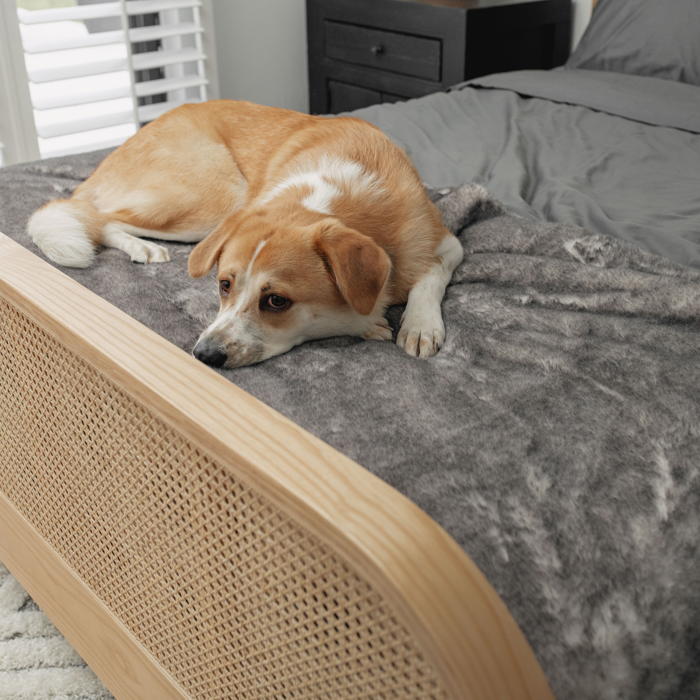 Pupprotector Luxe Waterproof Bed Runner Ultra Soft Washable - gallery image 10