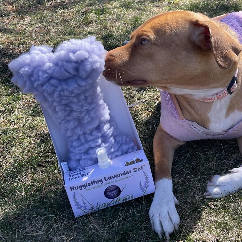 Dog Treats HuggleHug Lavender Bone 2oz Calming Spray Toy Set main product image for dogs and cats