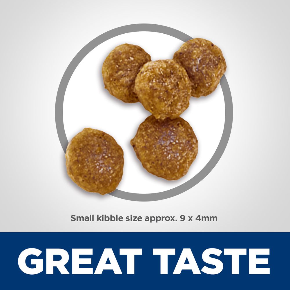 Hills Science Diet Adult Small Bites Chicken Barley Recipe - lifestyle view