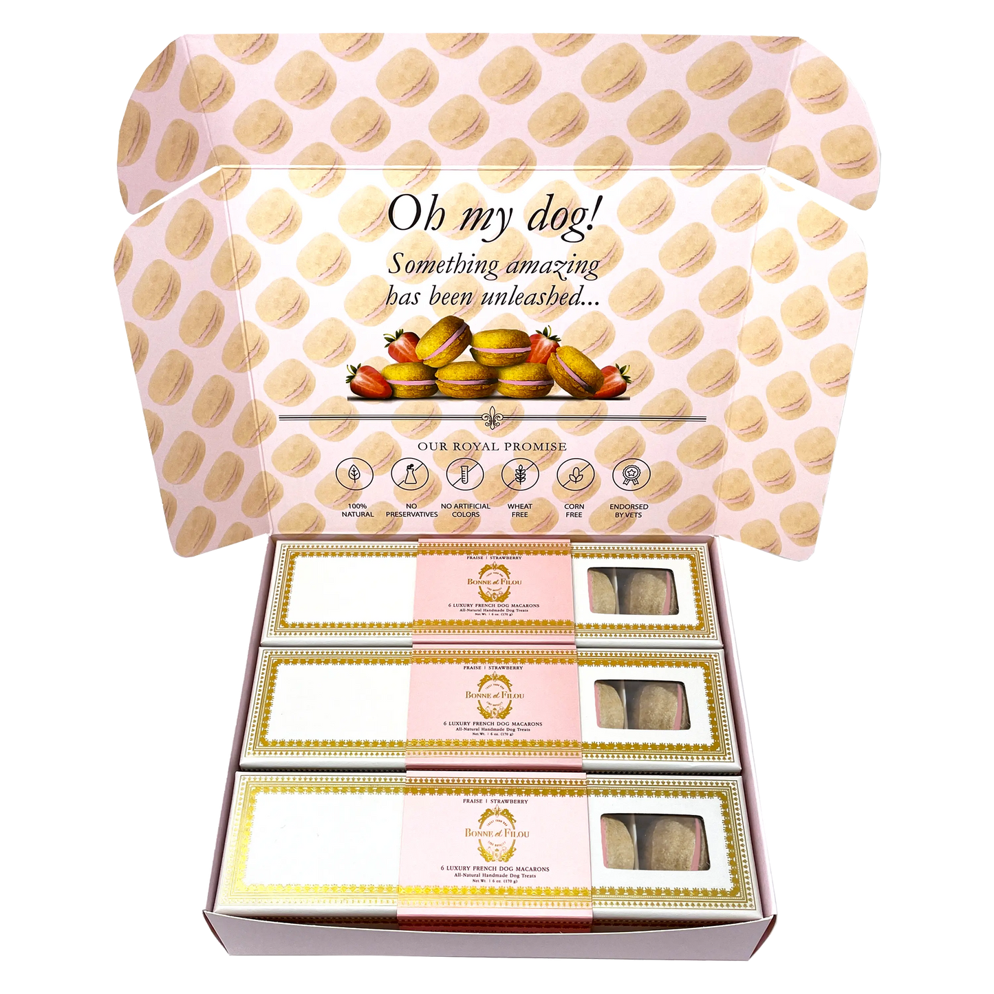 Dog Treats Macaron Combo Gift Box 18 French Macarons Essenti - lifestyle product image for dog treats