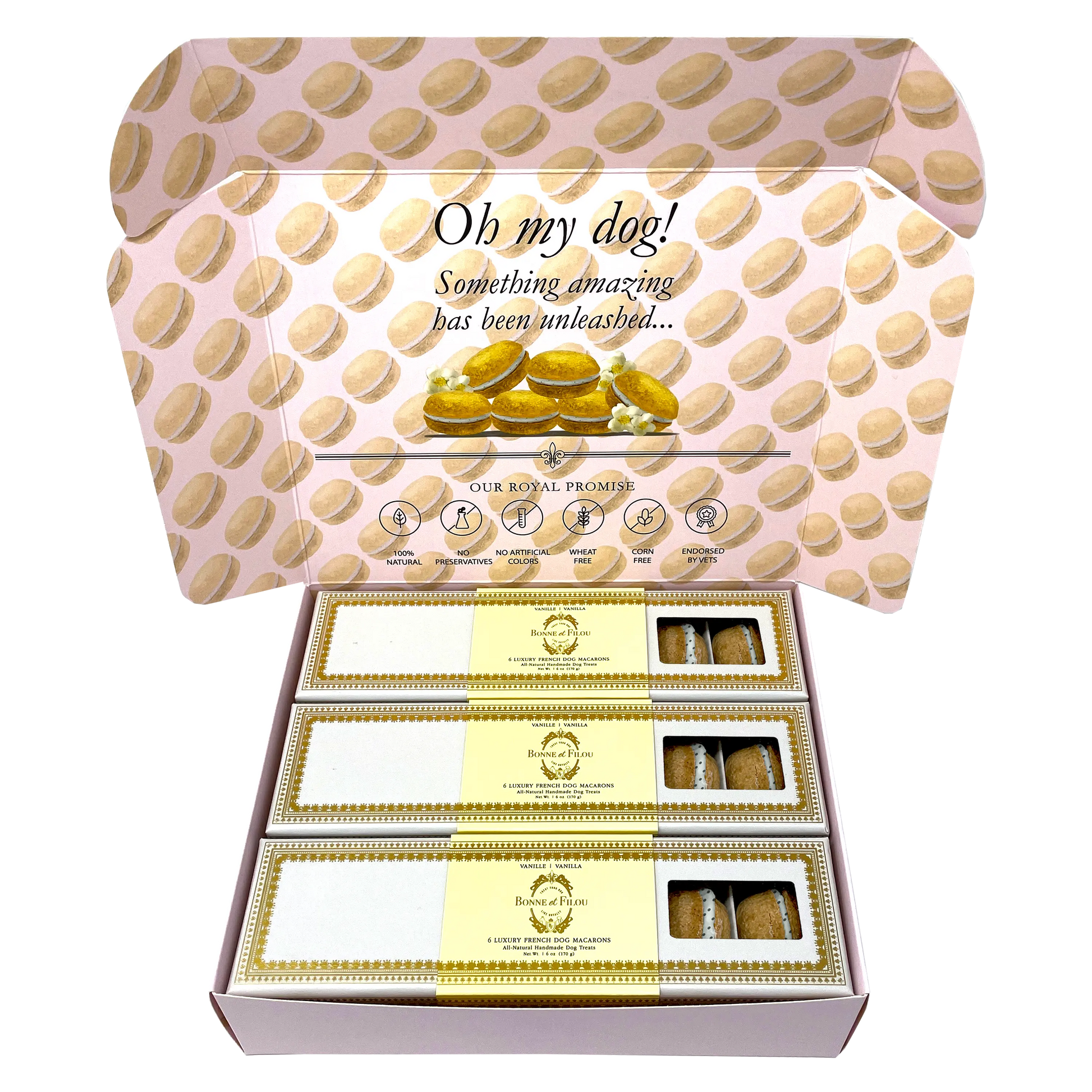 Dog Treats Macaron Combo Gift Box 18 French Macarons Essenti - size and texture image for dog treats