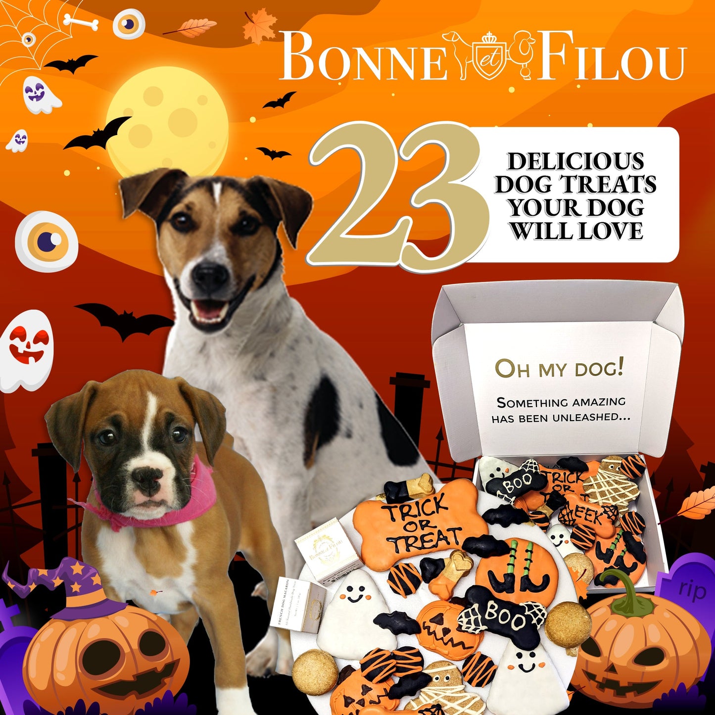 Dog Treats Halloween Themed Treats Gift Box for Daily Use - gallery product image for dog treats