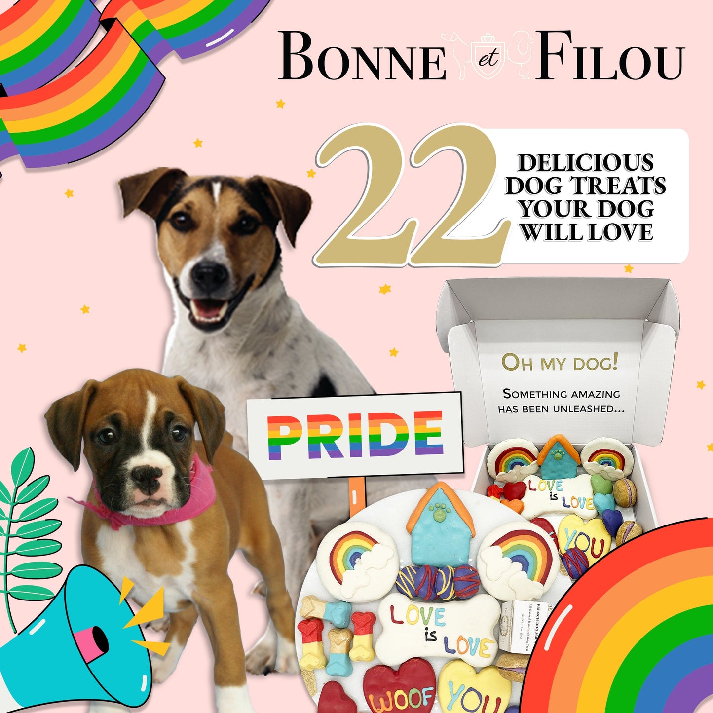 Dog Treats Pride Themed Treats Gift Box for Daily Use Essent - gallery product image for dog treats