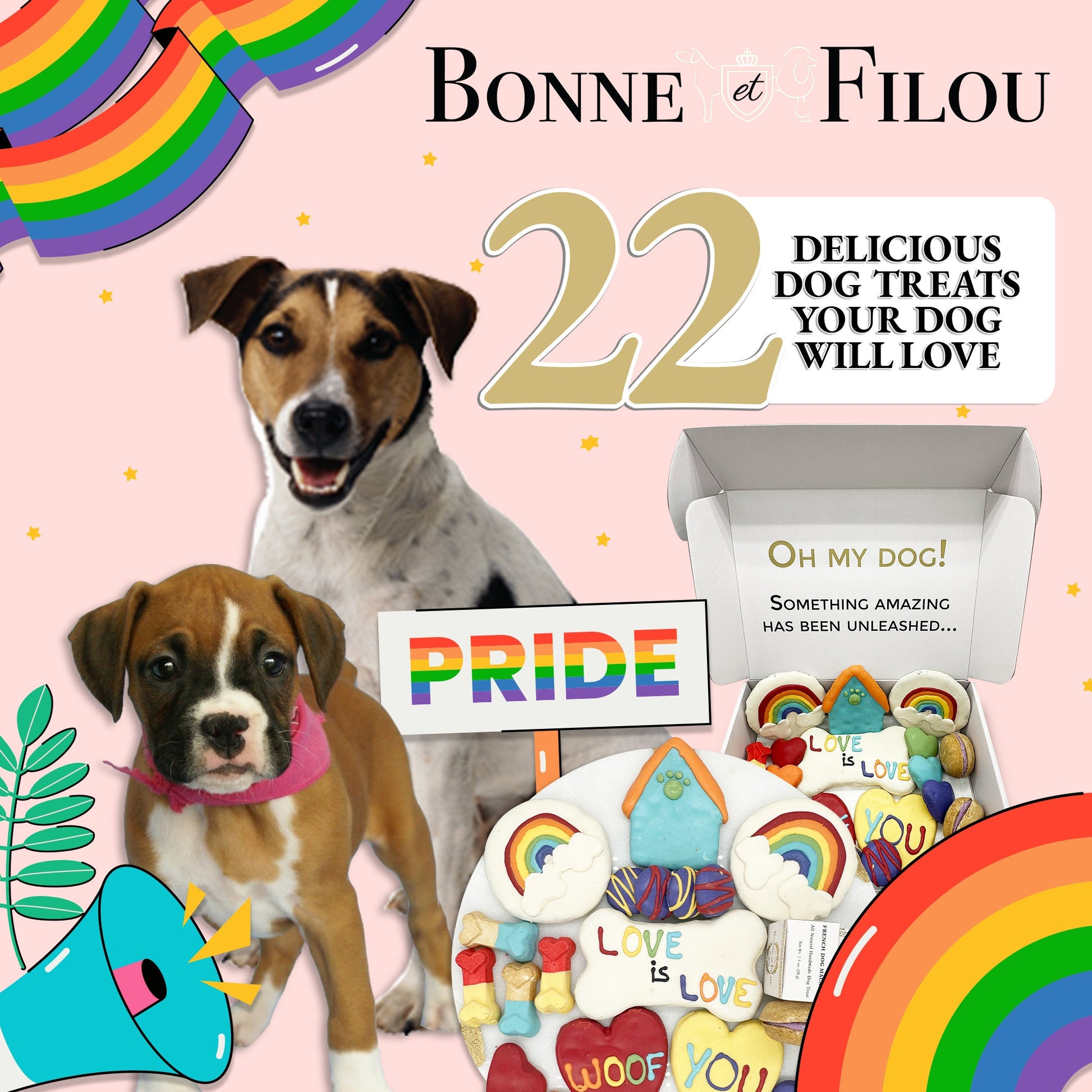 Dog Treats Pride Themed Treats Gift Box for Daily Use Essent - gallery product image for dog treats