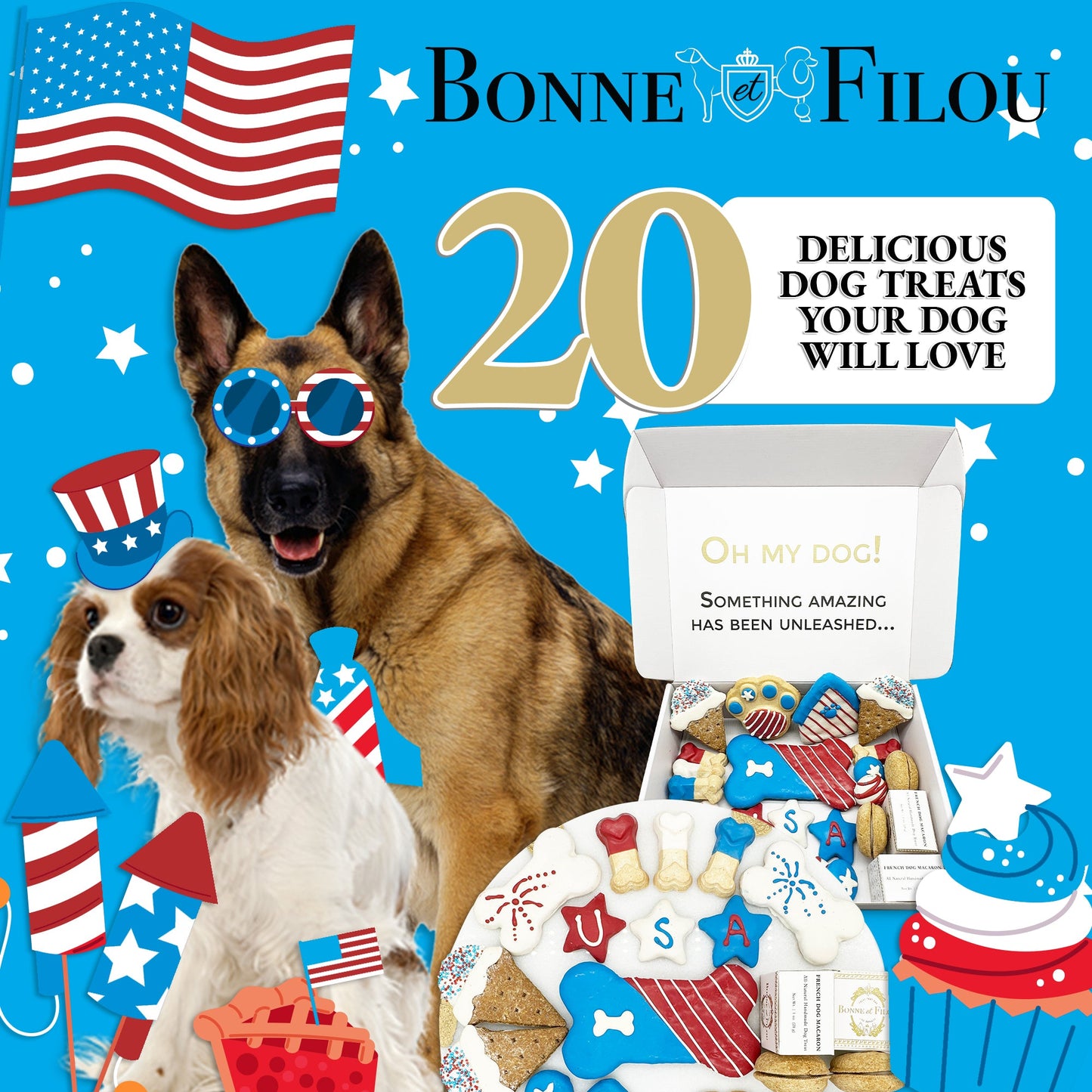 Dog Treats USA Themed Treats Gift Box for Daily Use Essentia - gallery product image for dog treats