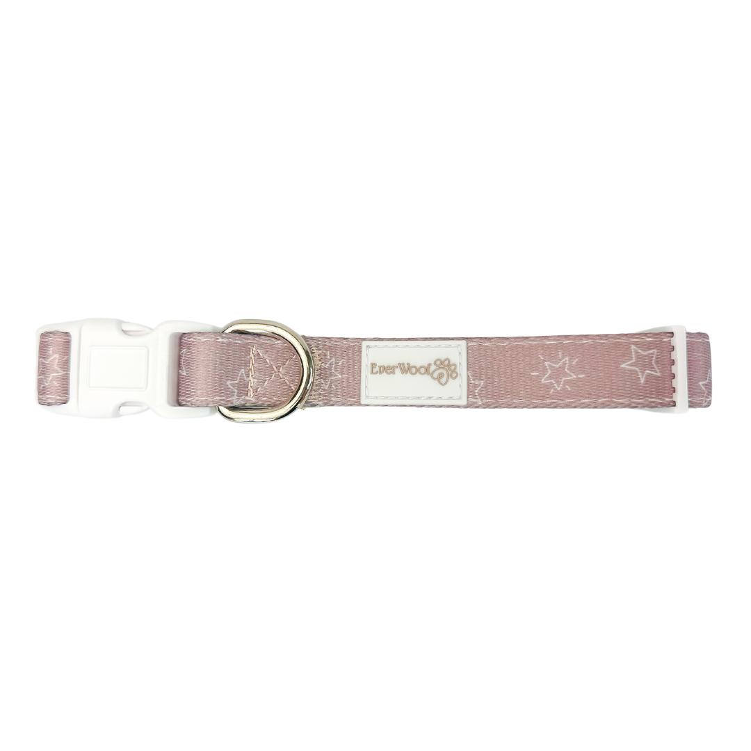 Pet Collar Collar Asteria Collar for for Daily Use Essential - main product image for pet collar