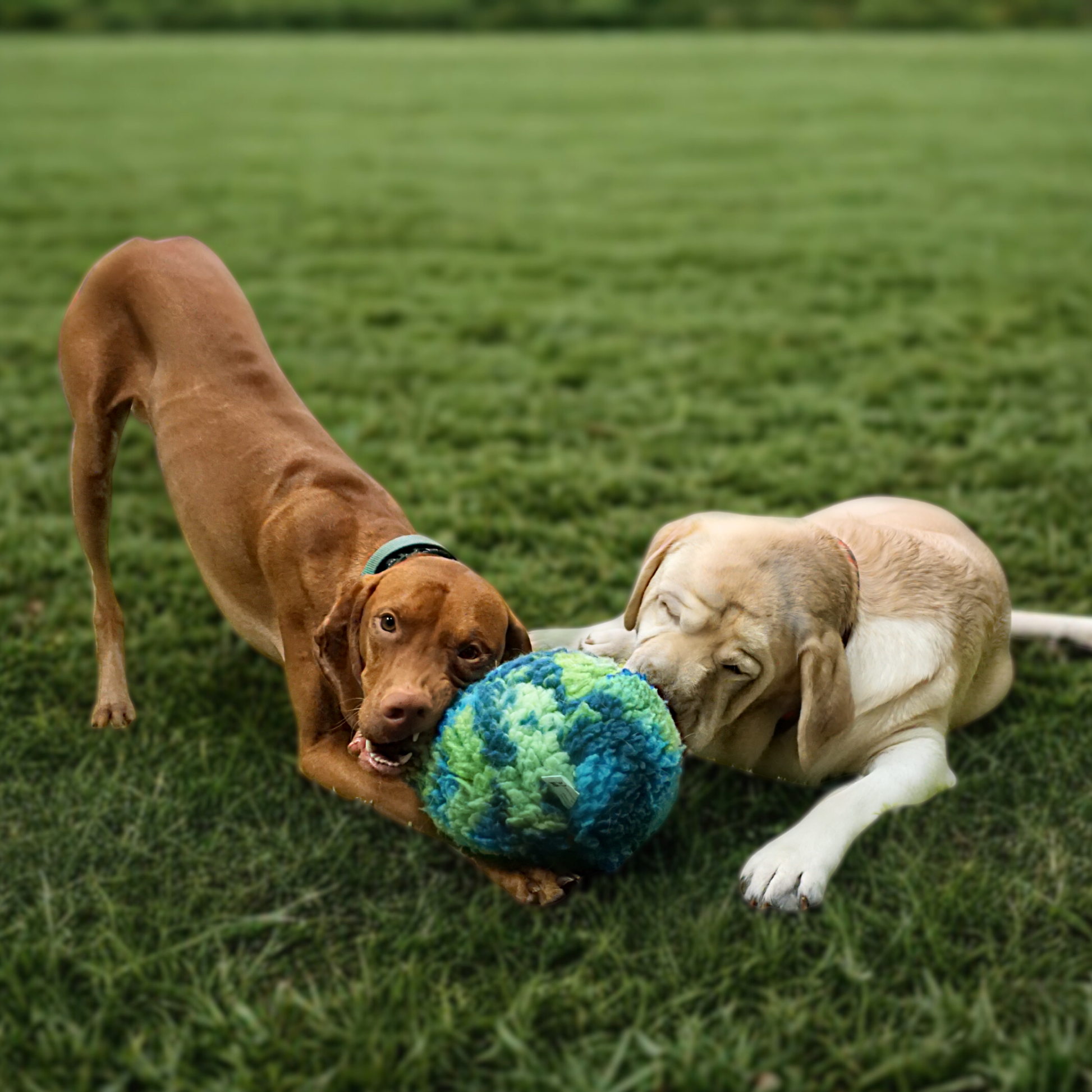 Pet Toy HuggleSnuffles SnuffleSphere Puzzle Ball for Comfort main product image for dogs and cats