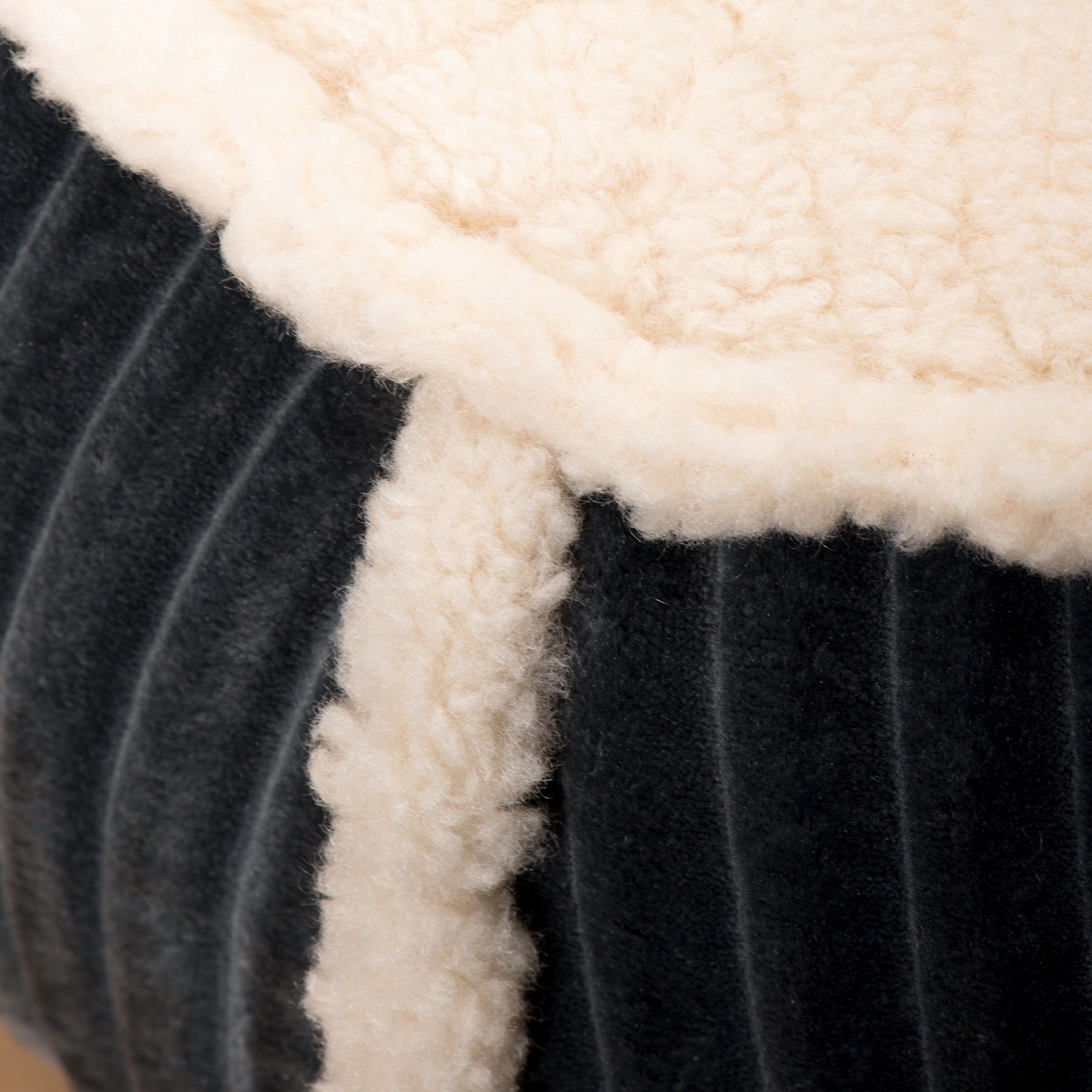 Scout Perfect Bolster Bed for Daily Comfort and Relaxation main product image for dogs and cats