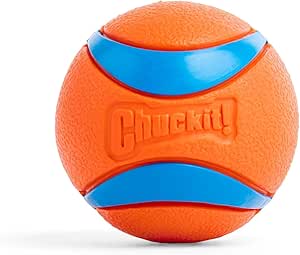 Dog Toy Premium Interactive Chew Play 1 Pack Durable Fun - main product image