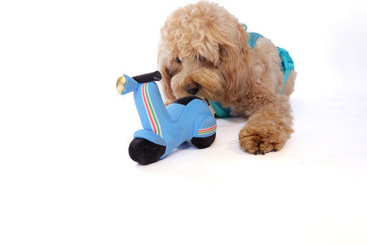 Scooter Pet Plush Toy - detail view