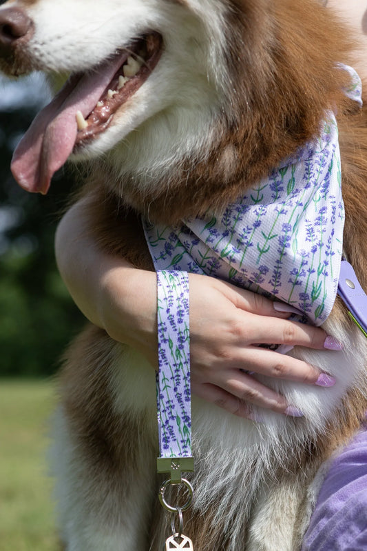 Lavender Blooms Dog Bandana Matching Keychain Dog Bandanas - detail view