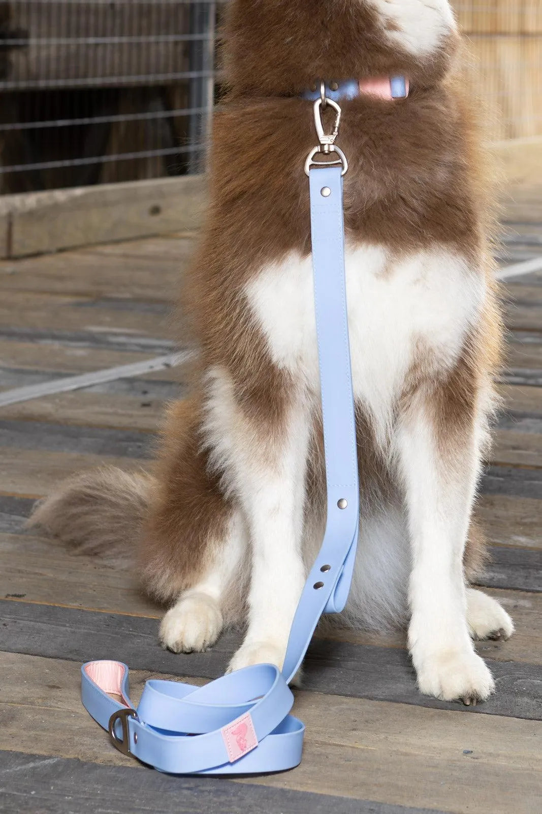 Dog Leashes Adjustable Walking Gear Adjustable Blue Comfort - detail view