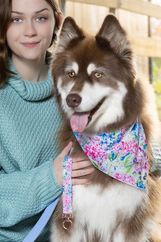 Hydrangea Haven Dog Bandana Matching Keychain Dog Bandanas - detail view