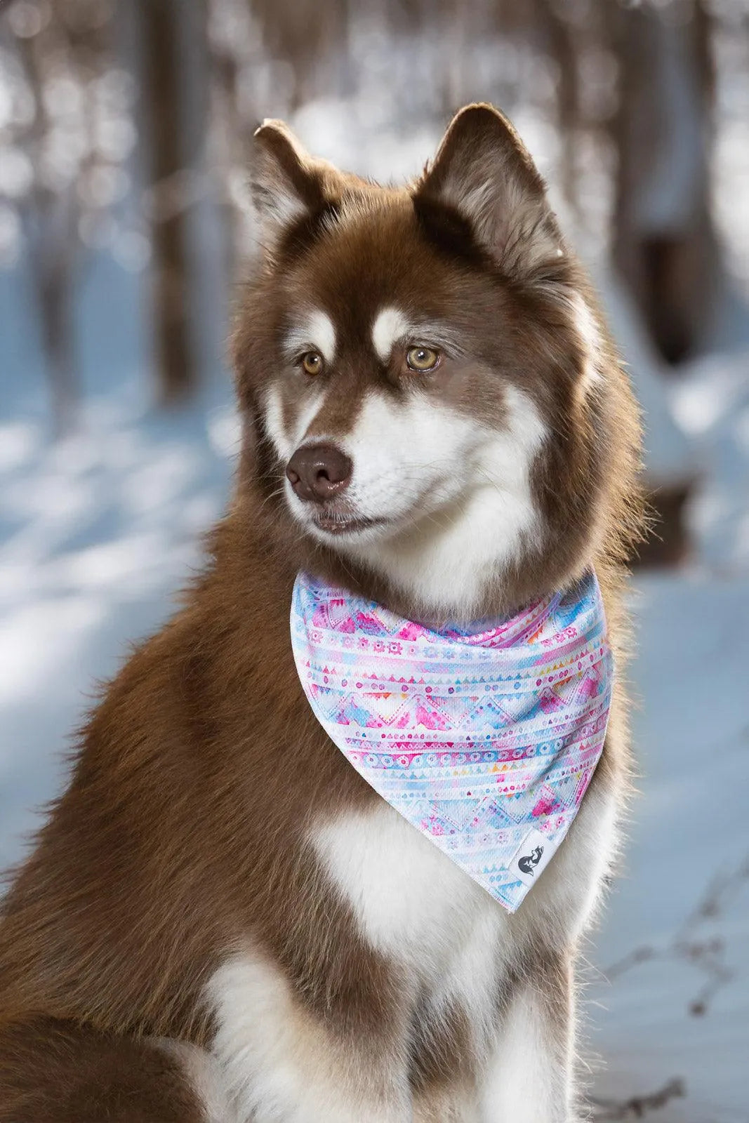 Pink And Blue Tribal Dog Bandana Matching Keychain Dog Pet - lifestyle view