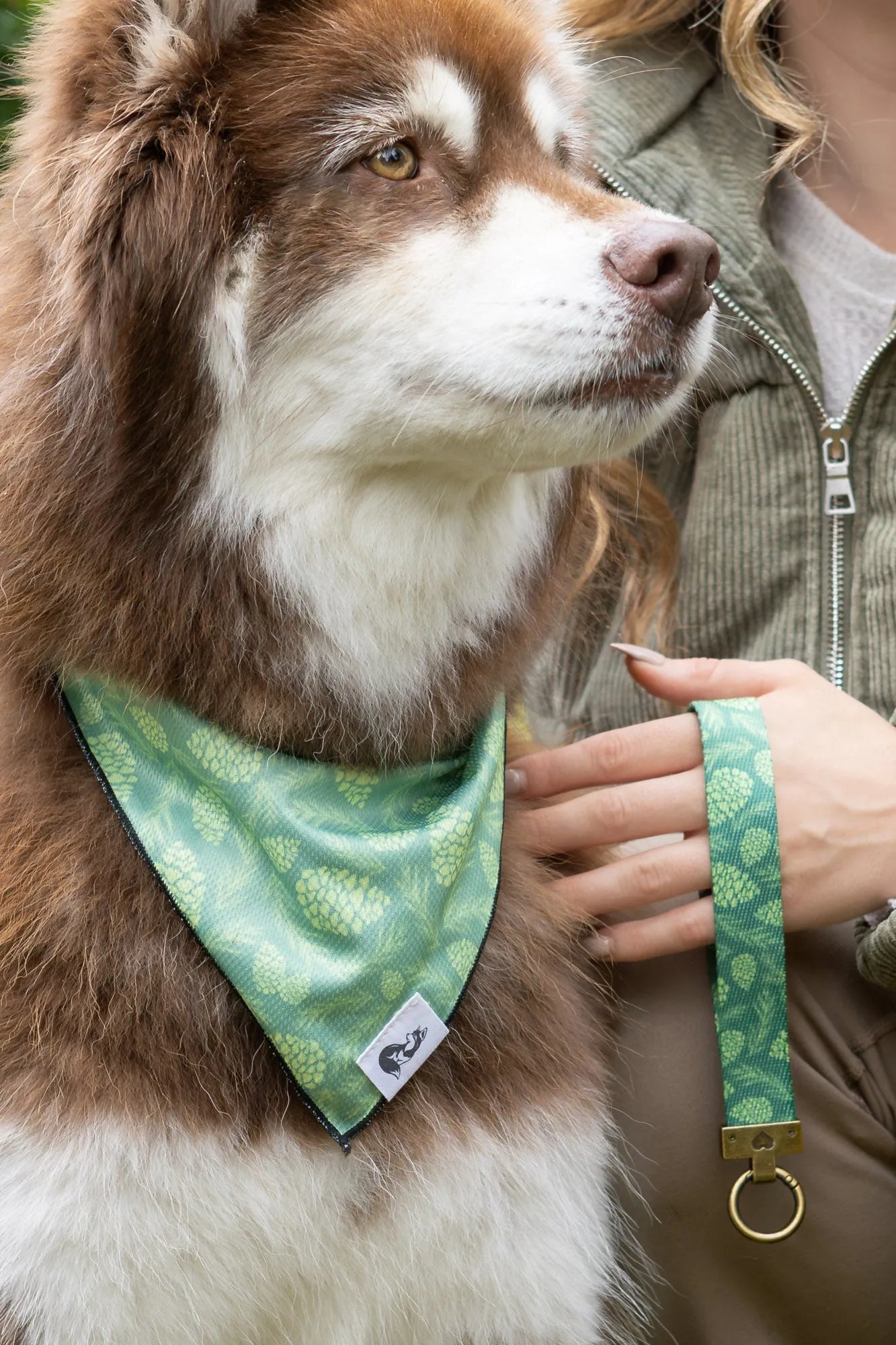 Pine Cone Pup Bandana Matching Keychain Dog Bandanas Premium - main product image