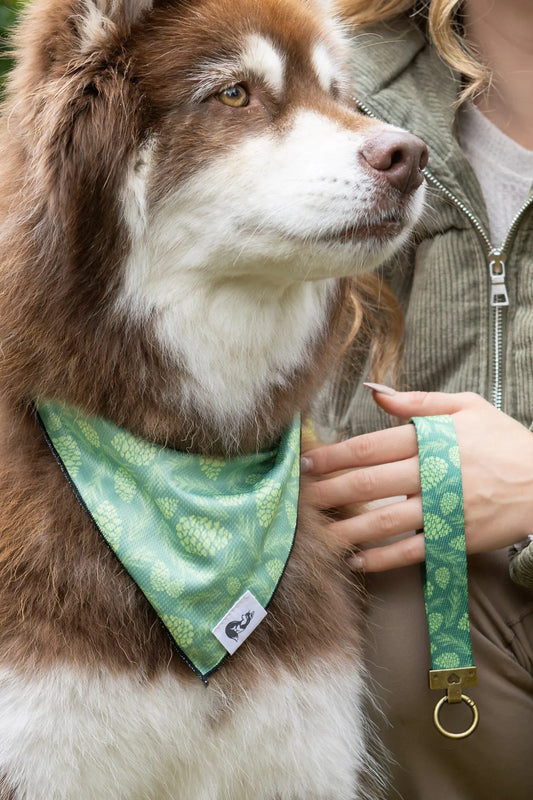Pine Cone Pup Bandana Matching Keychain Dog Bandanas Premium - main product image