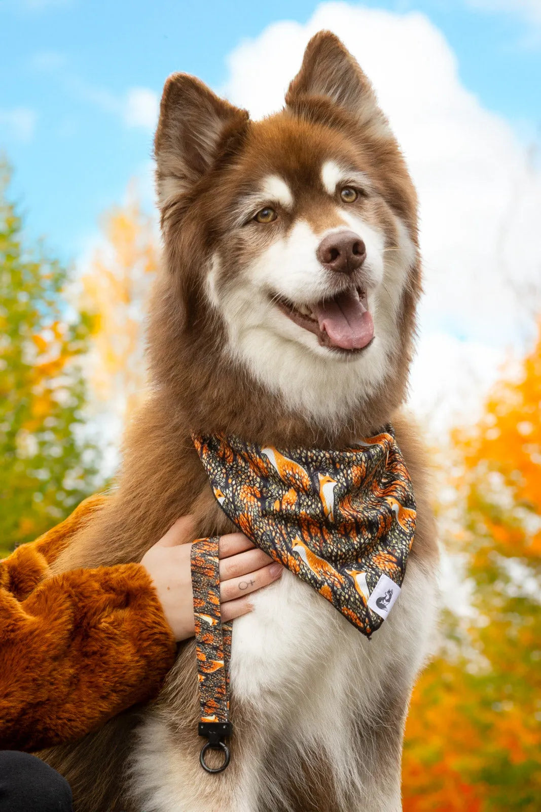Foxes In Fall Dog Bandana Matching Keychain Dog Bandanas Pet - detail view