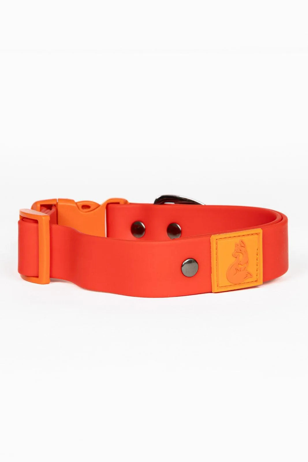 Scarlet Peaks Waterproof Dog Collar Adjustable Dog Walking - lifestyle view