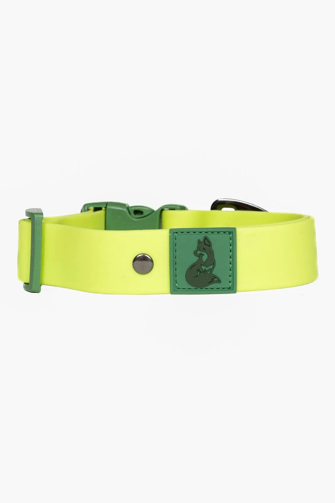Mossy Pine Waterproof Dog Collar Adjustable Dog Walking Gear - lifestyle view