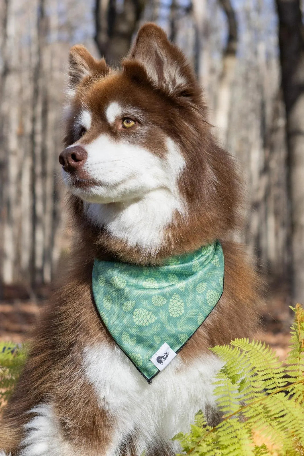 Pine Cone Pup Bandana Matching Keychain Dog Bandanas Premium - detail view
