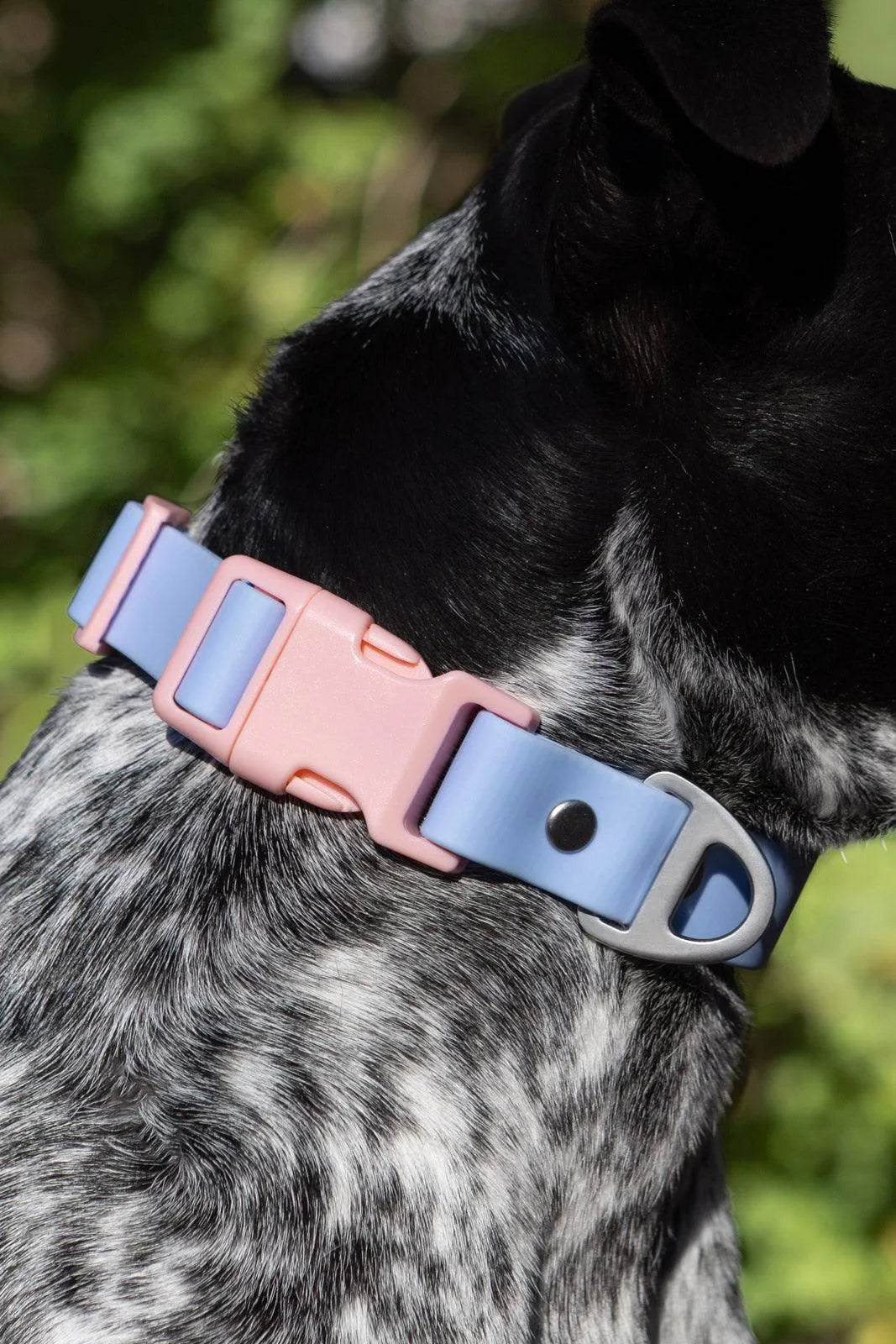 Dog Collars Adjustable Walking Gear Adjustable Blue Comfort - gallery image 5