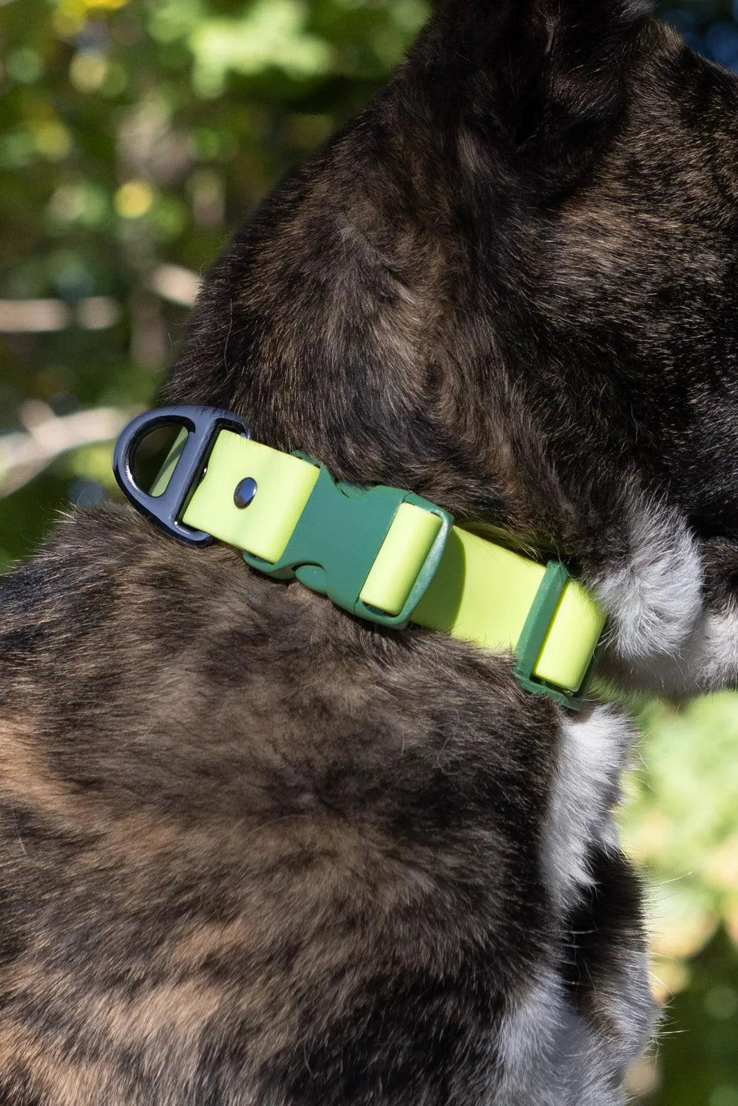 Mossy Pine Waterproof Dog Collar Adjustable Dog Walking Gear - detail view