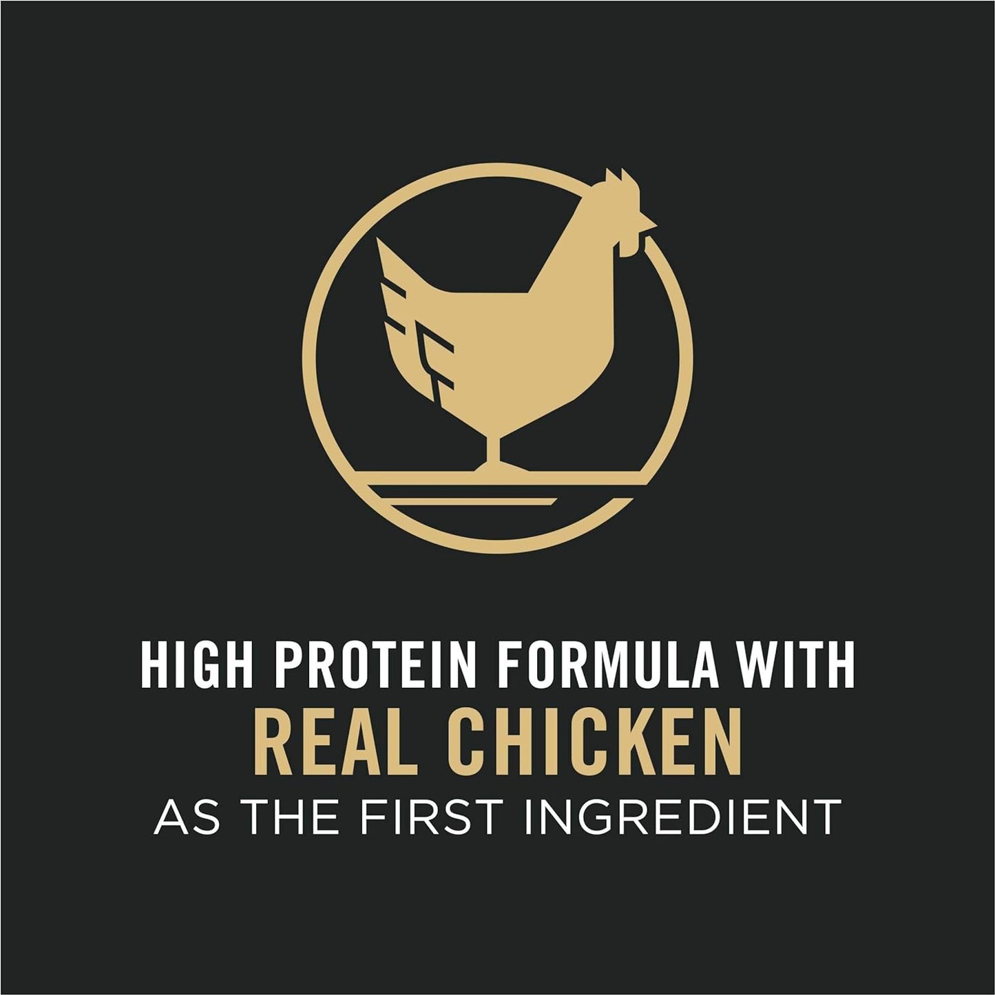 Pro Plan Adult Complete Essentials Shredded Blend Chicken - lifestyle view