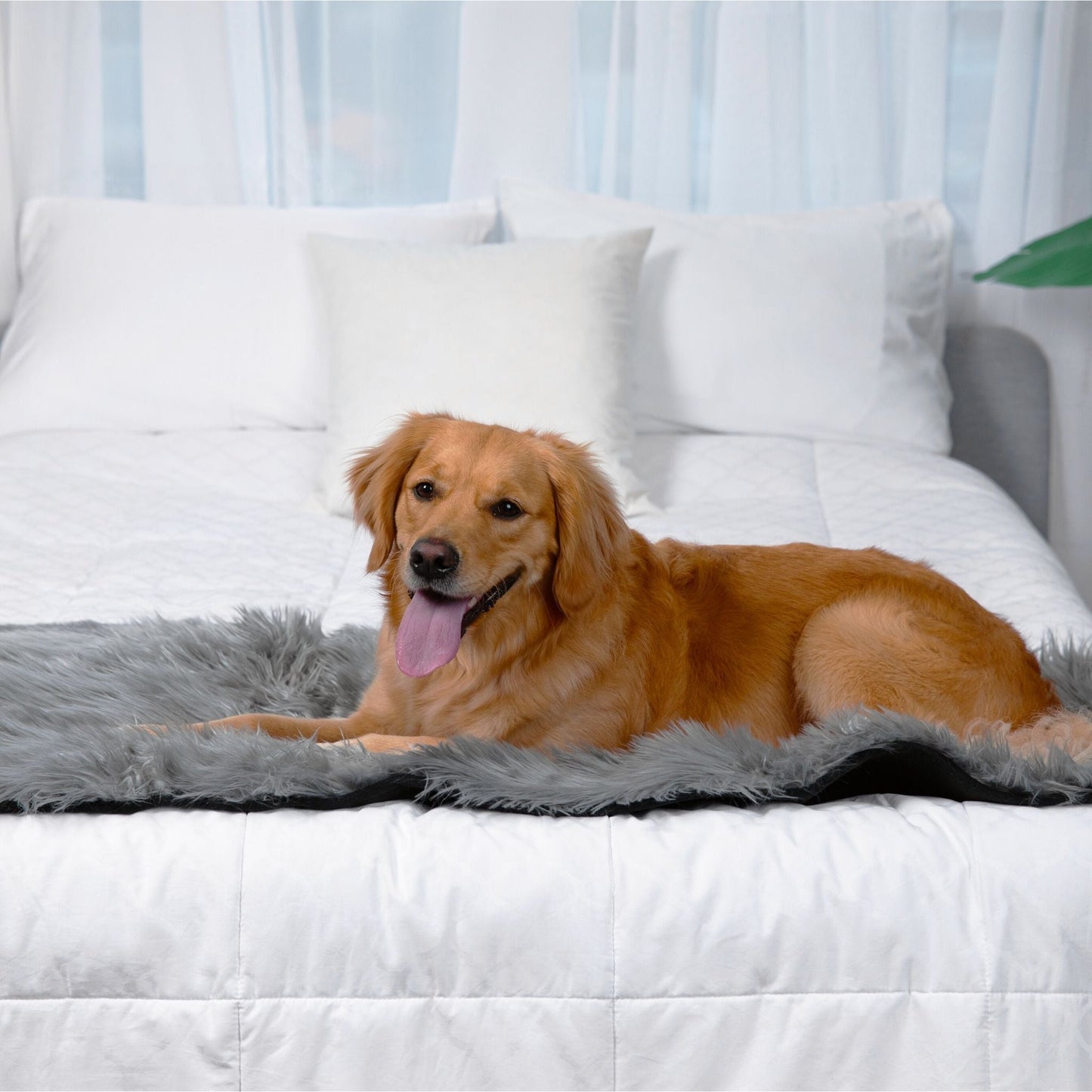 Pupprotector Waterproof Bed Runner Charcoal Grey Washable - gallery image 9