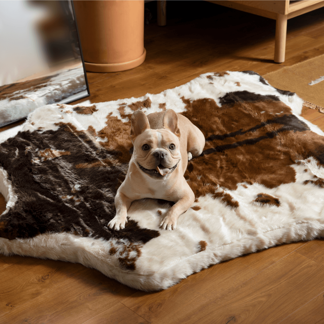 Memory Foam Dog Bed Faux Fur Brown Orthopedic Comfort Premiu - lifestyle view