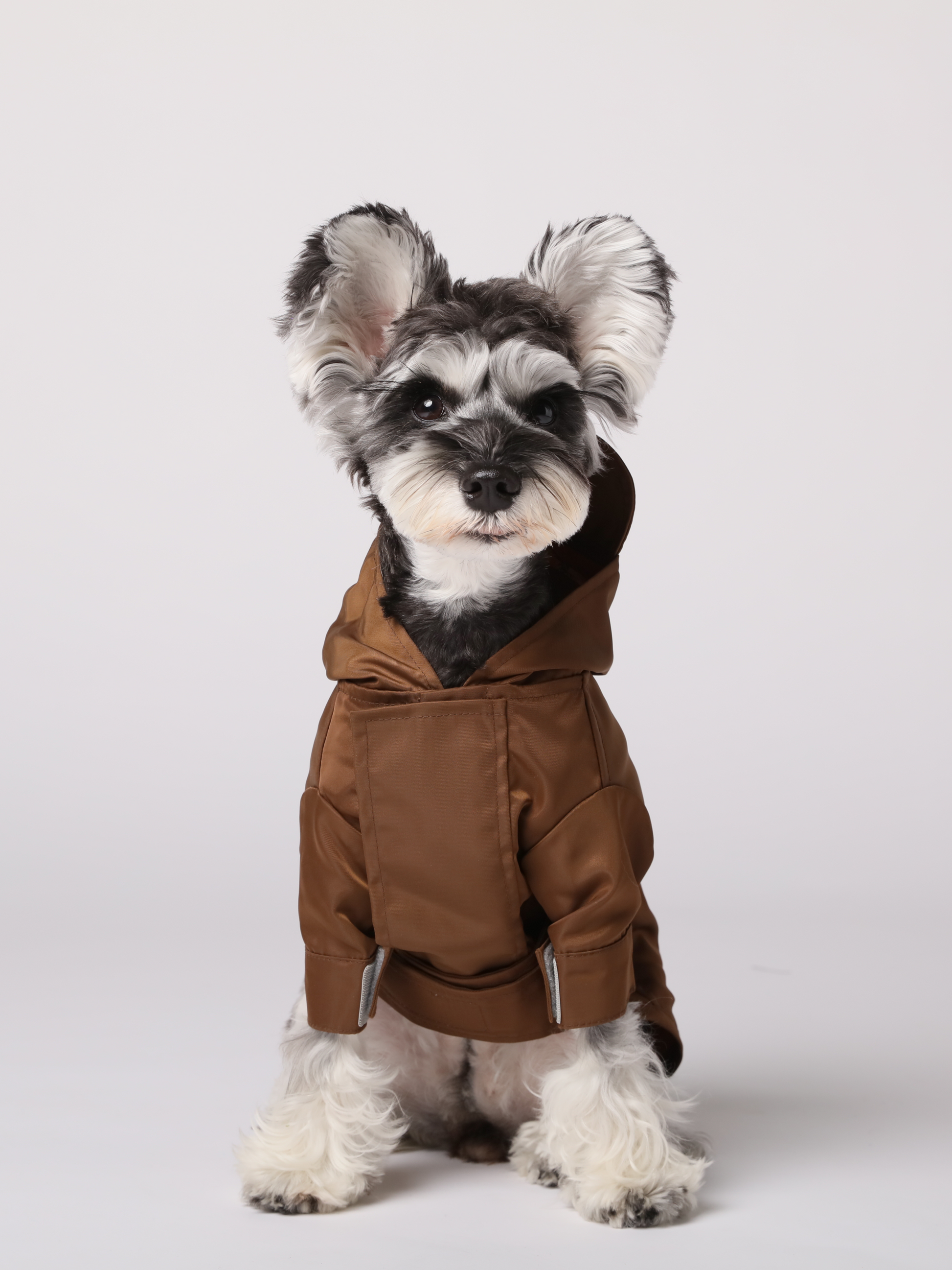 Tribeca Adjustable Velcro Raincoat Choco Dog Apparel Premium - main product image