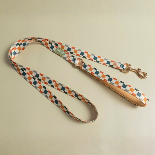Pet Leash Leash Sage Cider Leash for for Daily Use Essential - main product image for pet leash