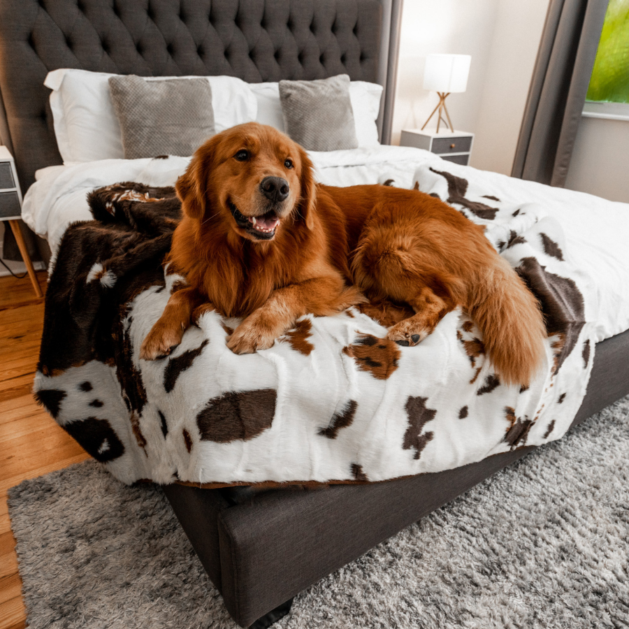 PupProtectorT Waterproof Throw Blanket - Brown Faux Cowhide - gallery image 11